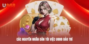 Các nguyên nhân dẫn tới việc U888 bảo trì