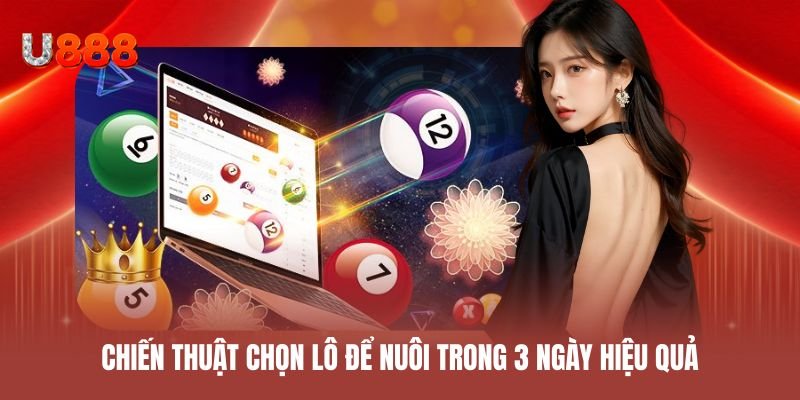 Chiến thuật chọn lô để nuôi trong 3 ngày đảm bảo hiệu quả